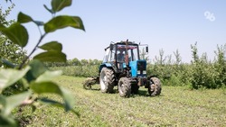 Около 1,3 млрд рублей направили на поддержку аграриев на Ставрополье